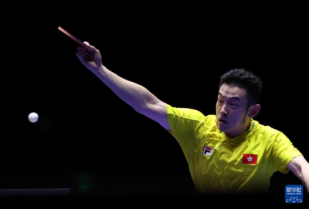 陈仪婷虽败 陈仪婷虽败